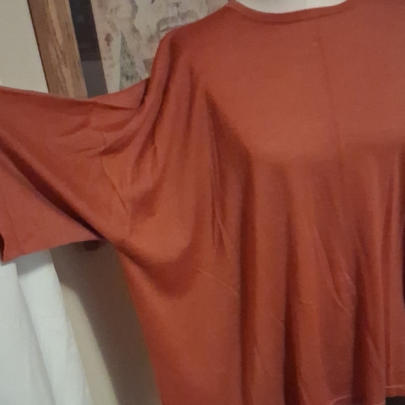 Eskandar Terracotta Tunic Top - Picture 2 of 4